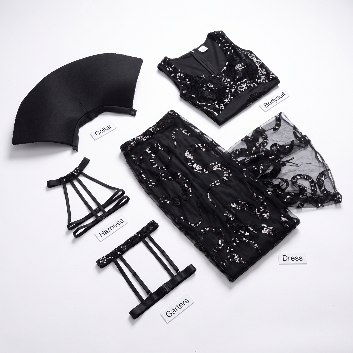 What's included: dress, bodysuit, collar, garters and harness