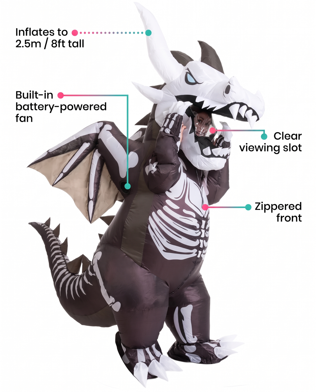 Feature callouts for inflatable dragon costume