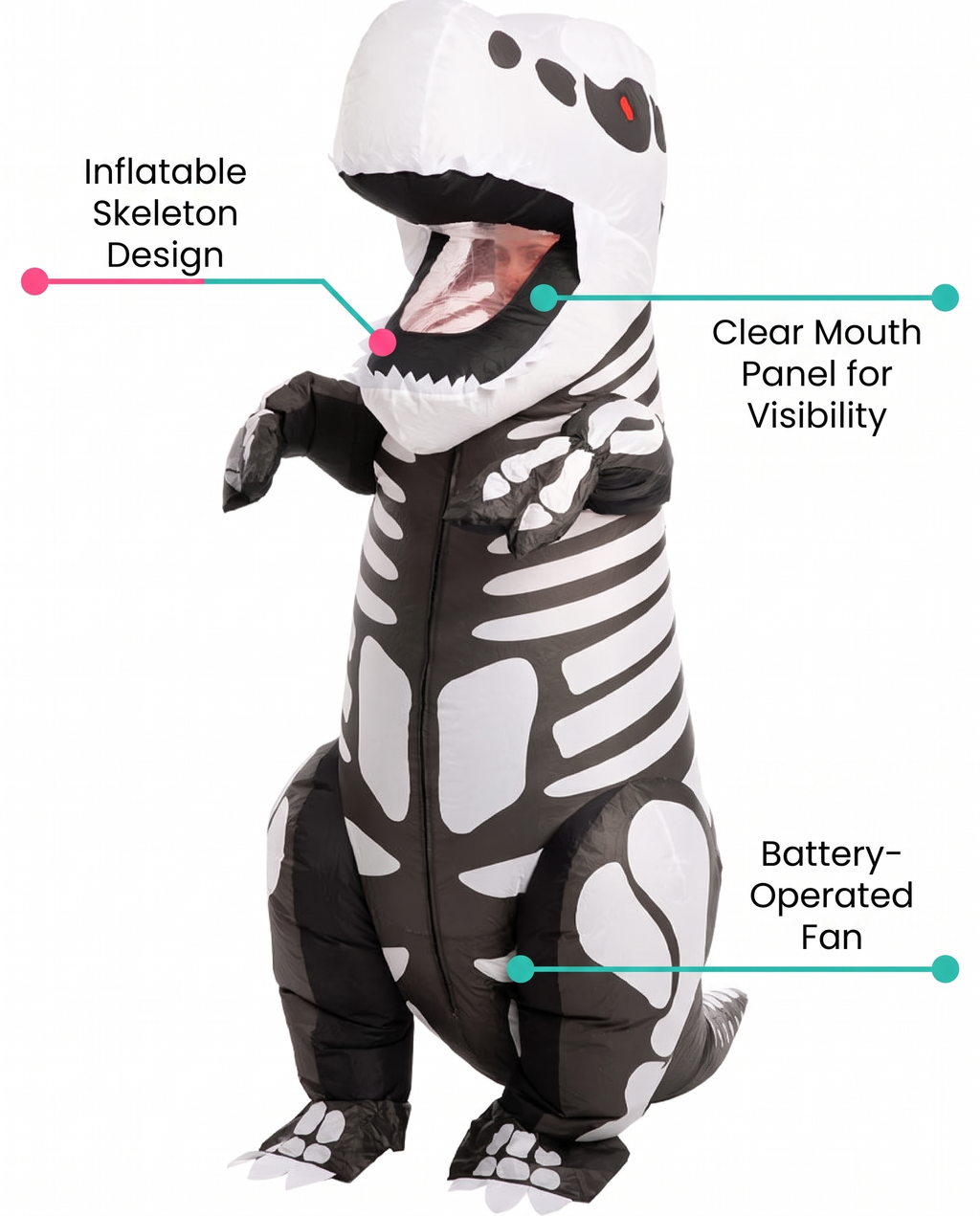 Feature callouts for skeleton T-rex inflatable costume