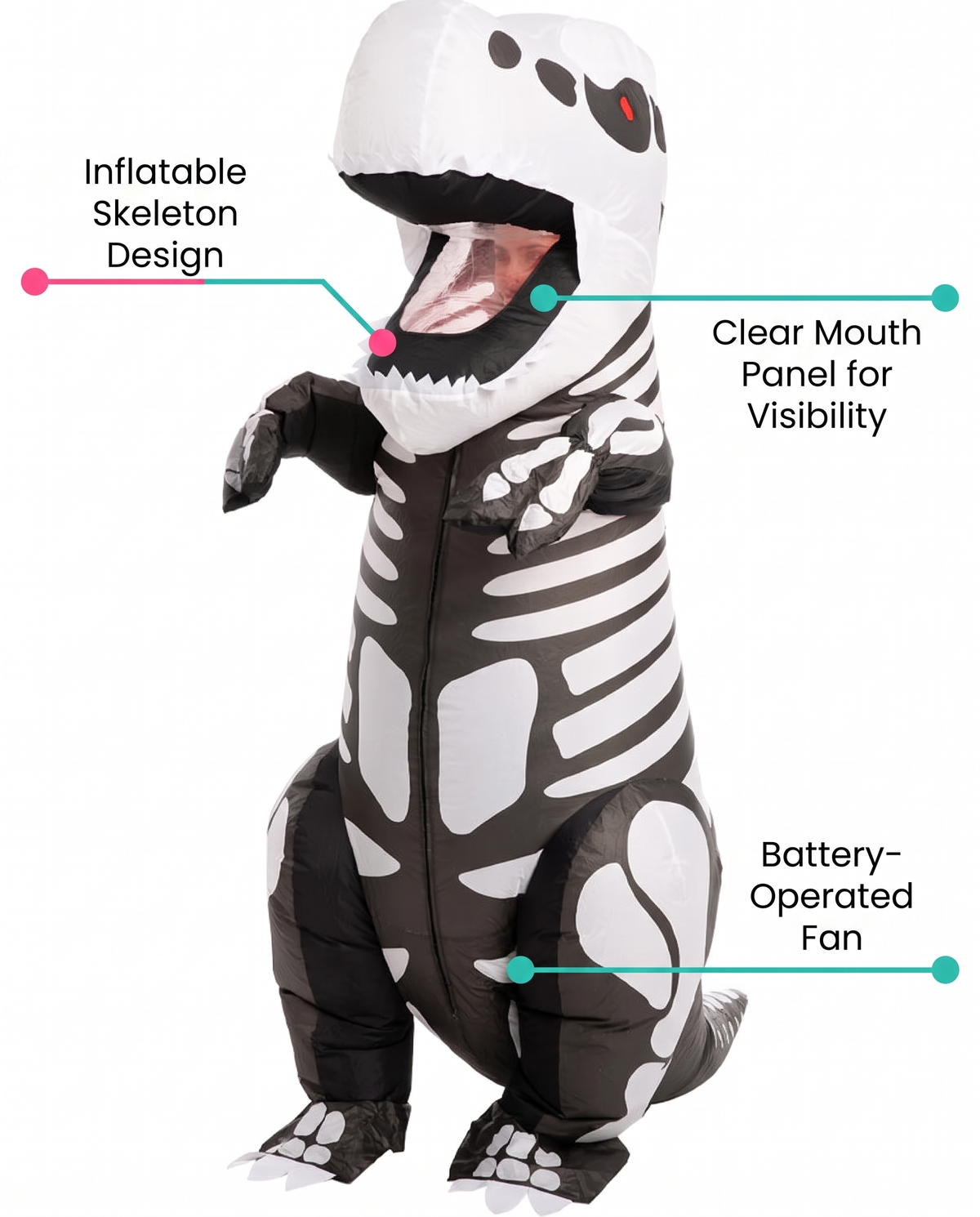 Feature callouts for skeleton T-rex inflatable costume
